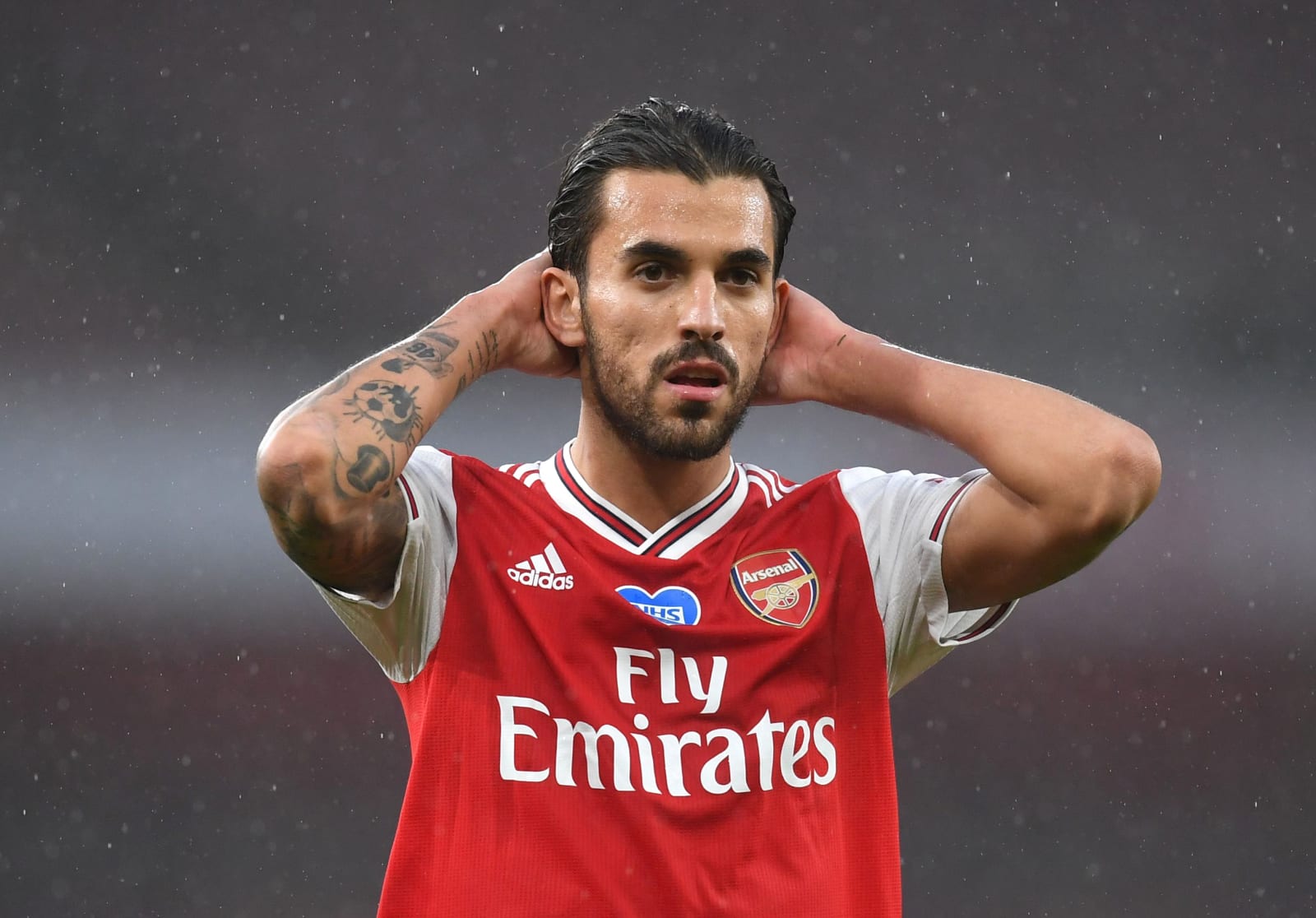 Arsenal, Dani Ceballos
